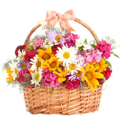 Корзинка с ромашками и гвоздиками «Летняя мелодия»